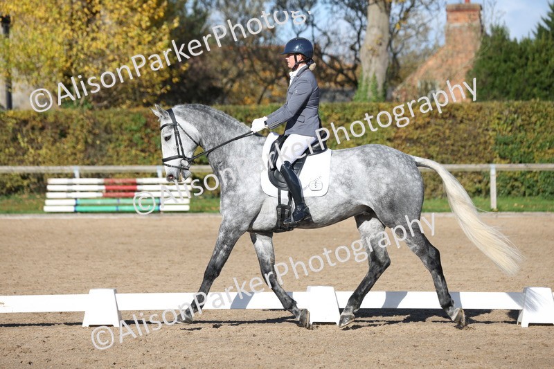 20251102-0790 - Class 5 - Elementary 5