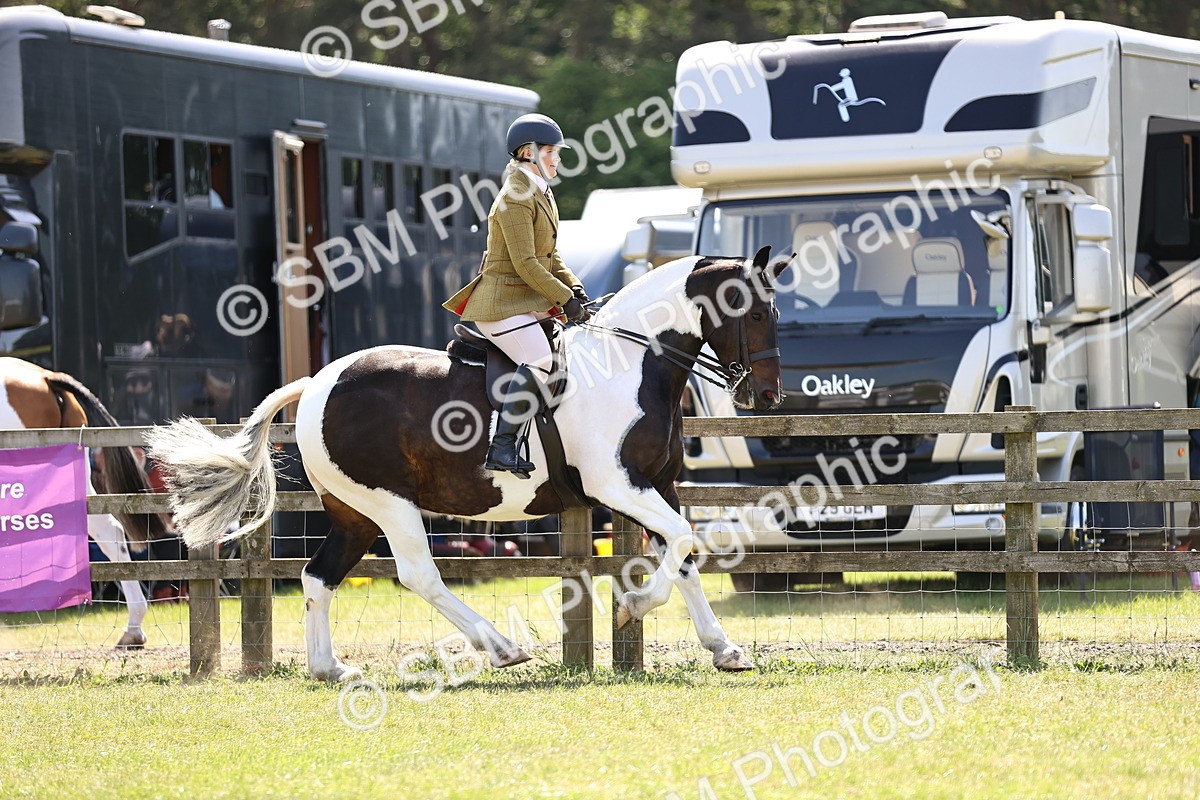 SBM_17830 - Class 81-83 - TSR Ridden Amateur of the Year - Horses