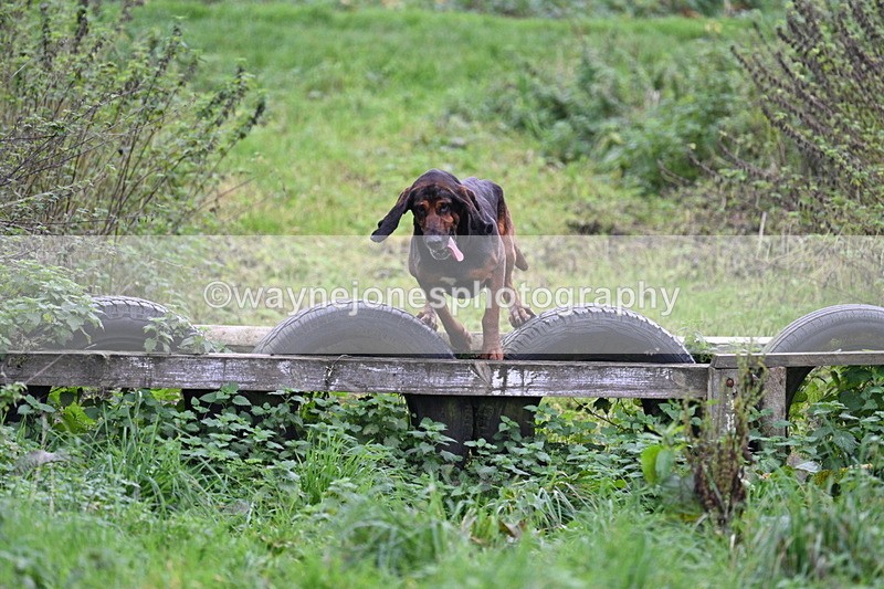 WJ7_8965 - Camera 1 only on this line