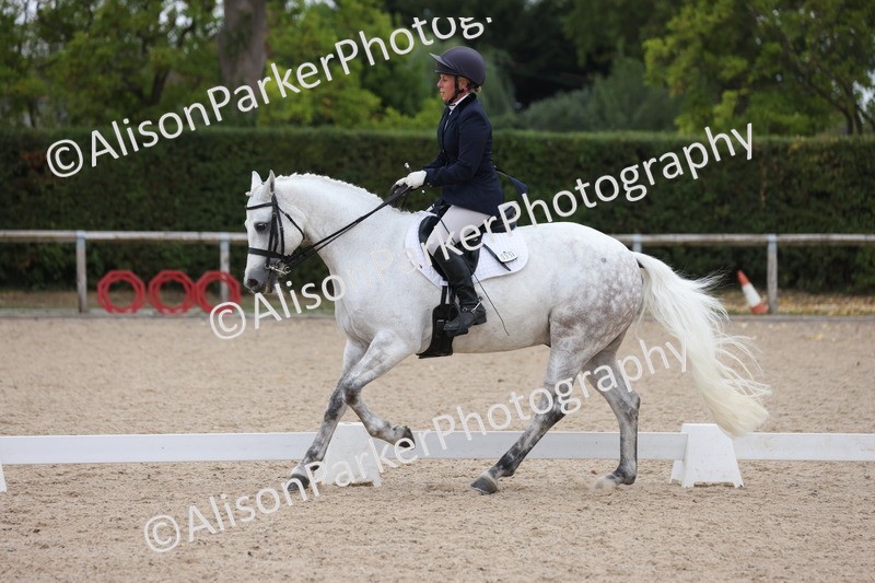 20250820-1157 - Class 17 - Elementary 4