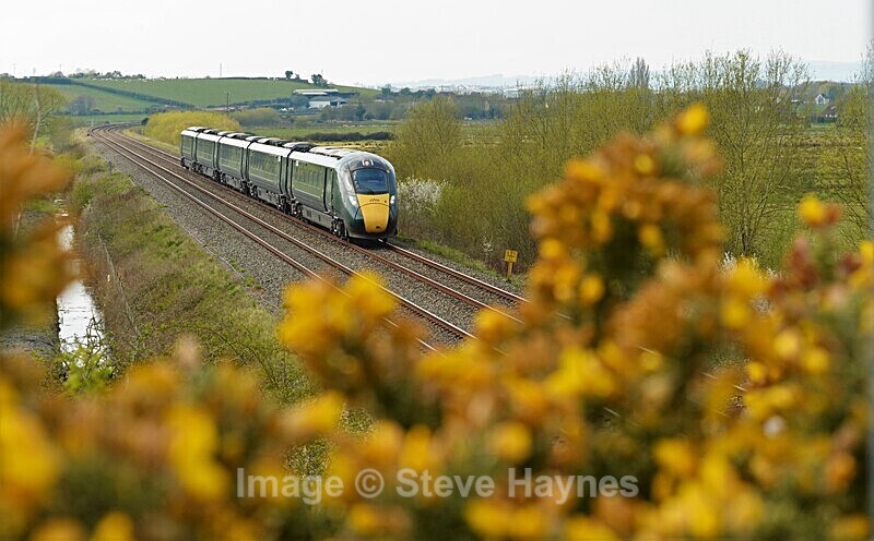 18th April 2021 - Curry Rivel (Oathe, Wick), Somerset