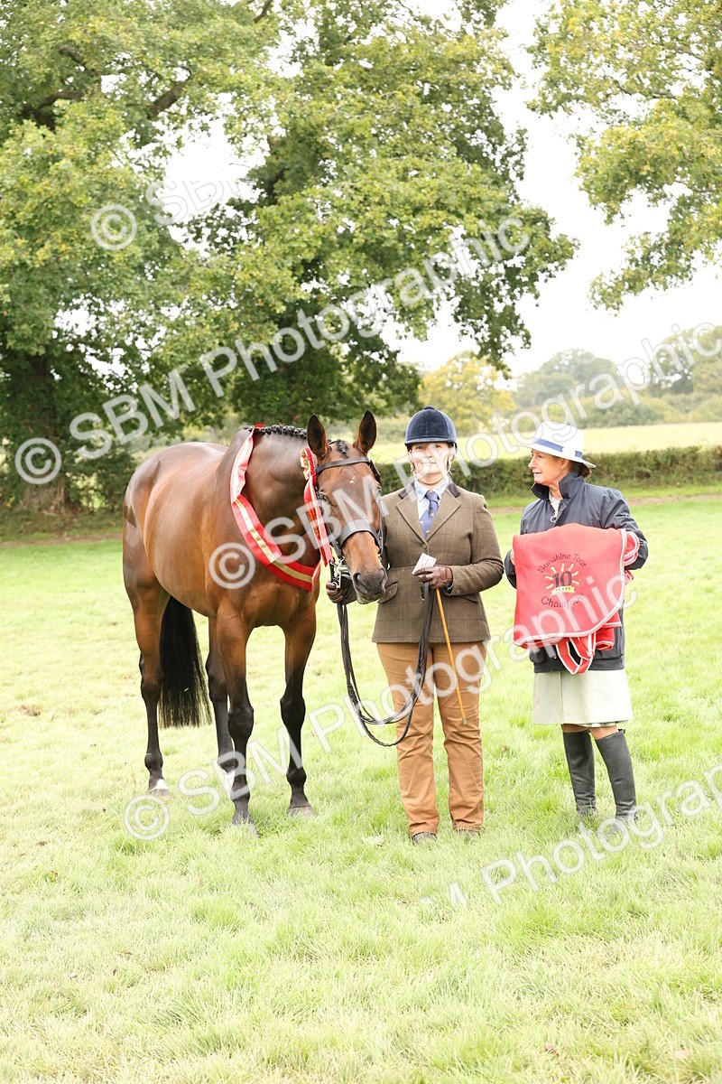 SBM_60866 - In Hand Horse Supreme Championship