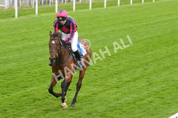 yr11062022r1-147 - Race 1 12.45pm Macmillan Ride of Their Lives, supported by Sky Bet
