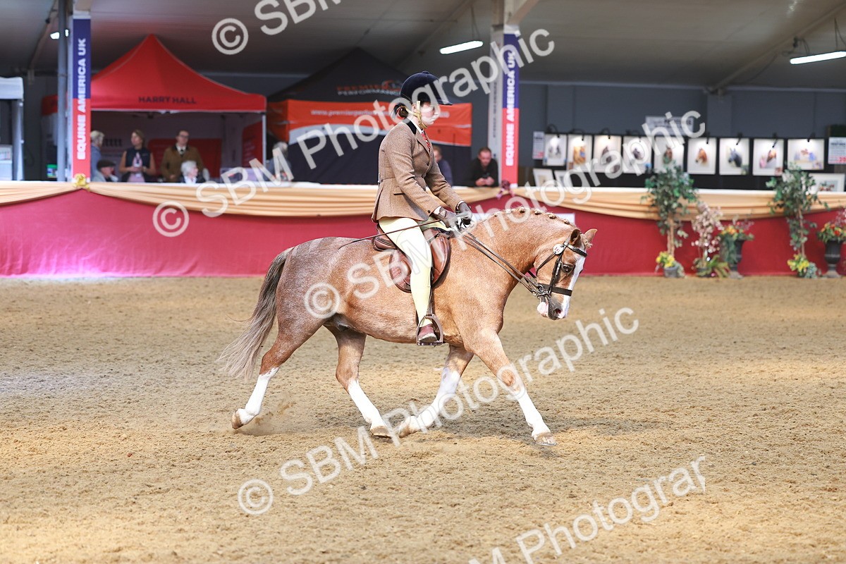 SBM_12510 - Class 103 - HOYS Veteran Qualifier - Ridden Pre Vet