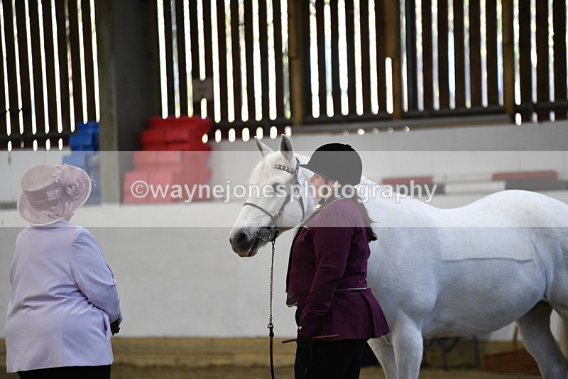 WJ5_3693 - Class 5 In Hand Veterans