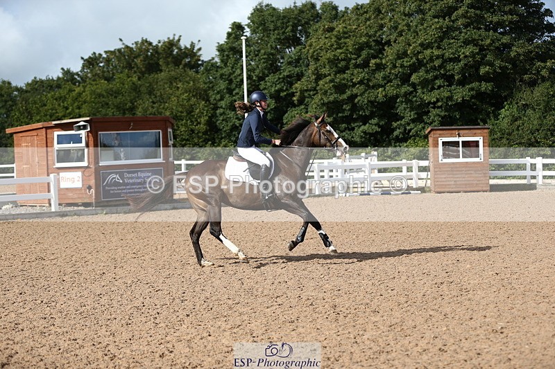 230811A-092130-02838 - Cls 13 A&B Snr Brit Nov & 90cm Open