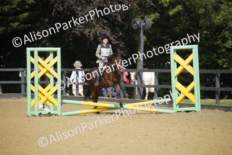 20250622-1610 - 40cm