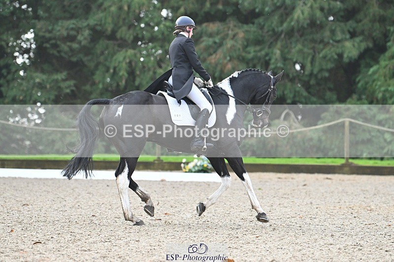 231019-103412-01892 - 101-RICARDO.COLOURS.II-Elizabeth.Wadey-DR