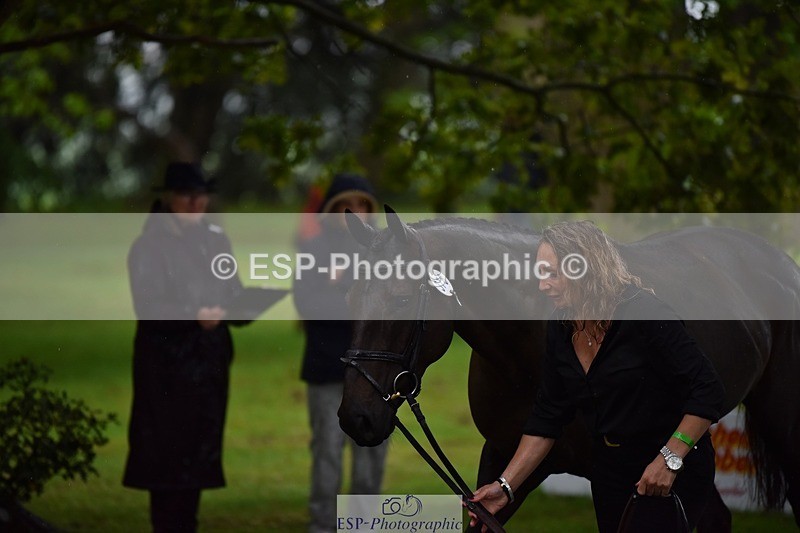 240522-153338-00429 - 376-STORM_BLUE_CURTIS-Phoebe_Buckley