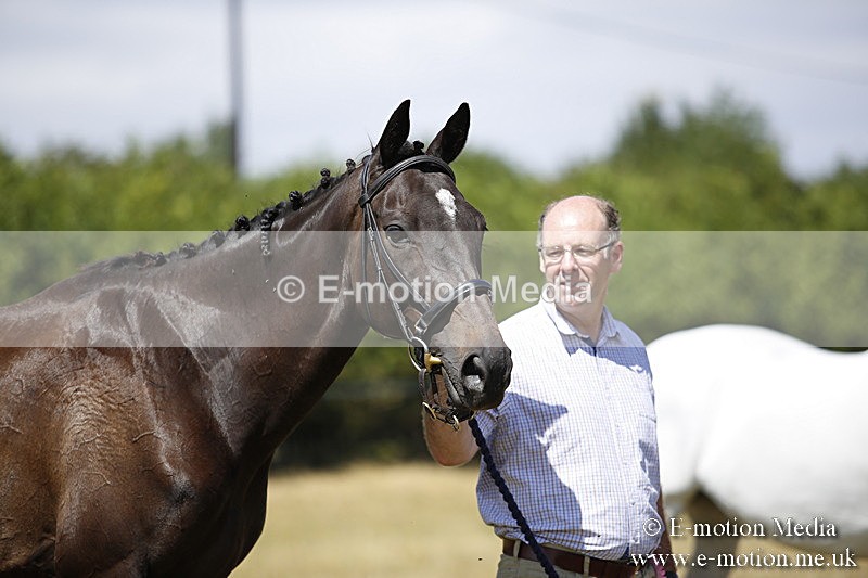 _C7A9741 - BVRC Sow 2018 Ring 2