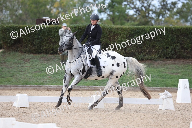 20261010-0710 - Class 6 - Novice 2