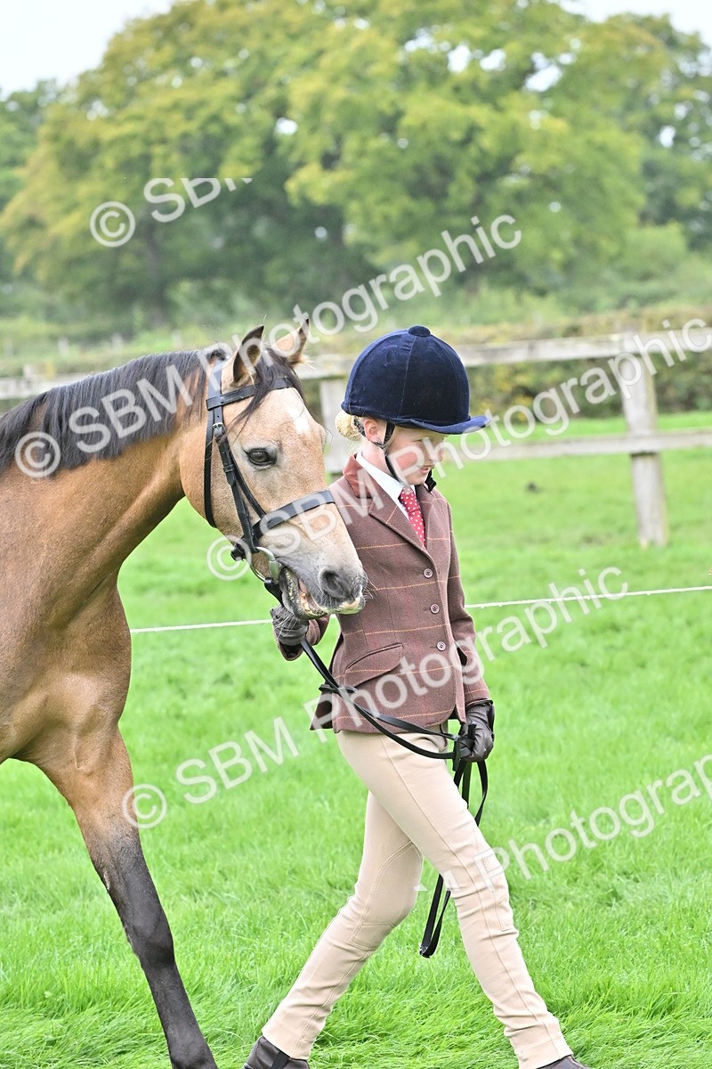 SBM_60906 - S48 - Mountain & Moorland In Hand Small Breeds