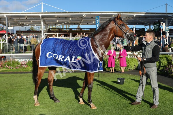 yr08102022r5-57 - Race 5 3.50pm The Coral Committed To Safer Gambling EBFStallions.com Maiden Stakes