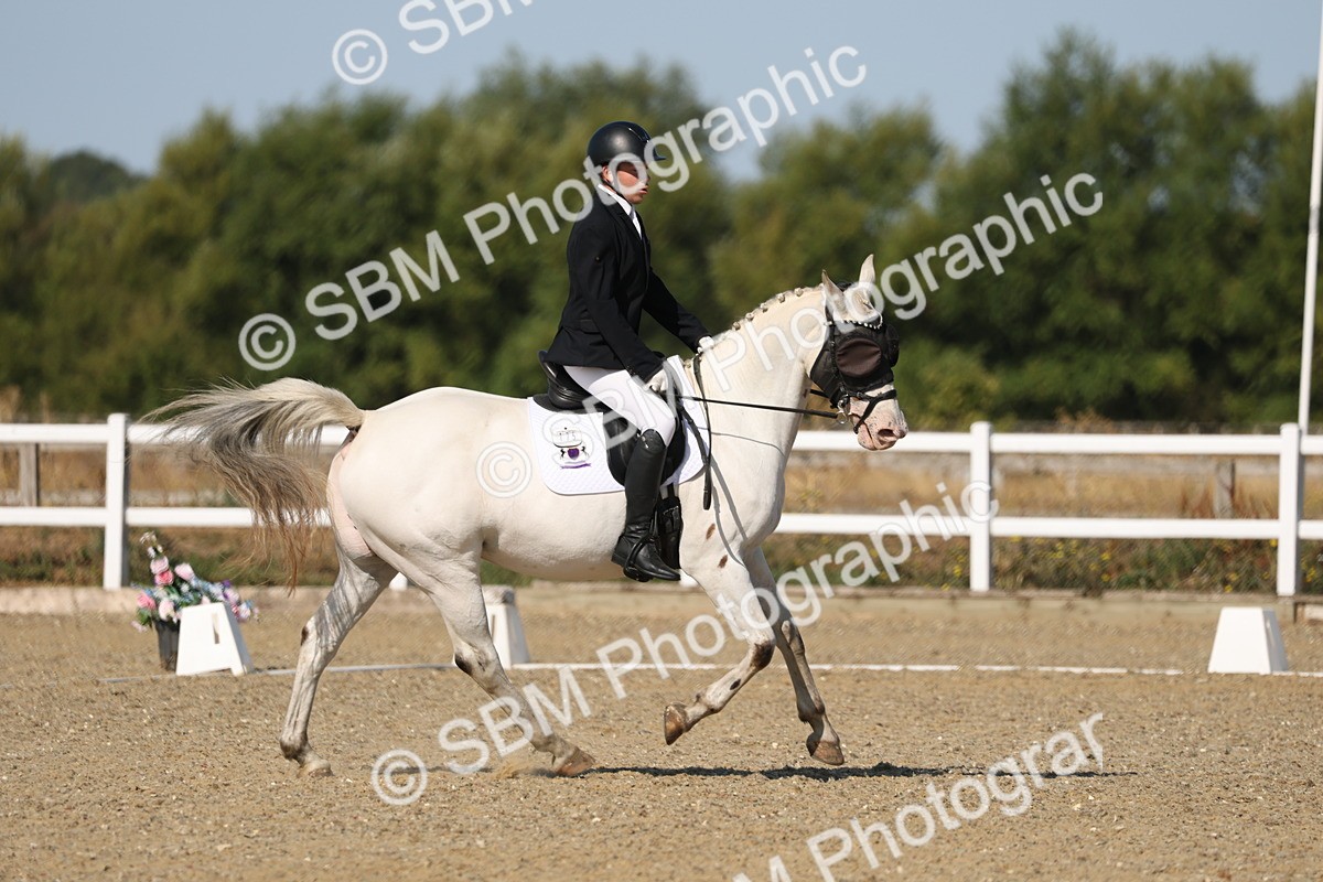 SBM_012814 - Class 1 - P5 Bronze 9.00.10.12