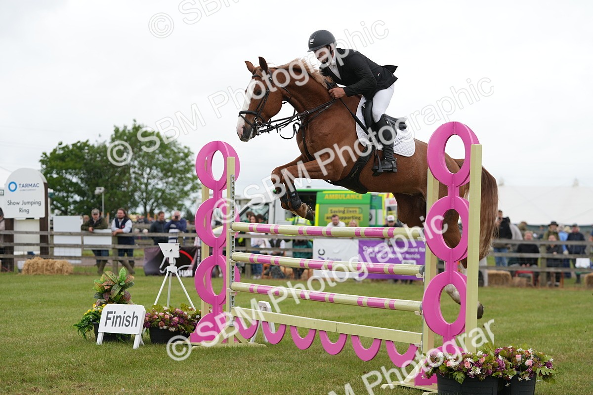SBM_05298 - Class 201 - British Horse Feeds Speedi Beet Horse of the Year Show Grade  C
