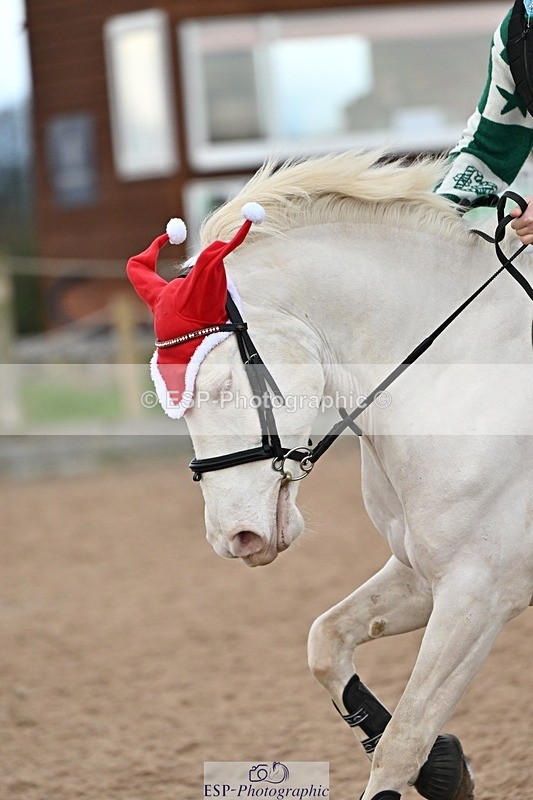 241215-131736-00971 - 90cm