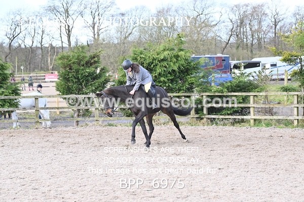BPP_6975 - RING 1  (RIDDEN HORSES / IN HAND / VETERAN ETC)