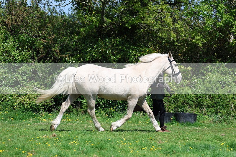 3E7A0242 - Class 19: Best Coloured in Hand