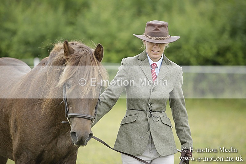 BVR160717-704 - Ring 2 BVRC Show 16/07/17