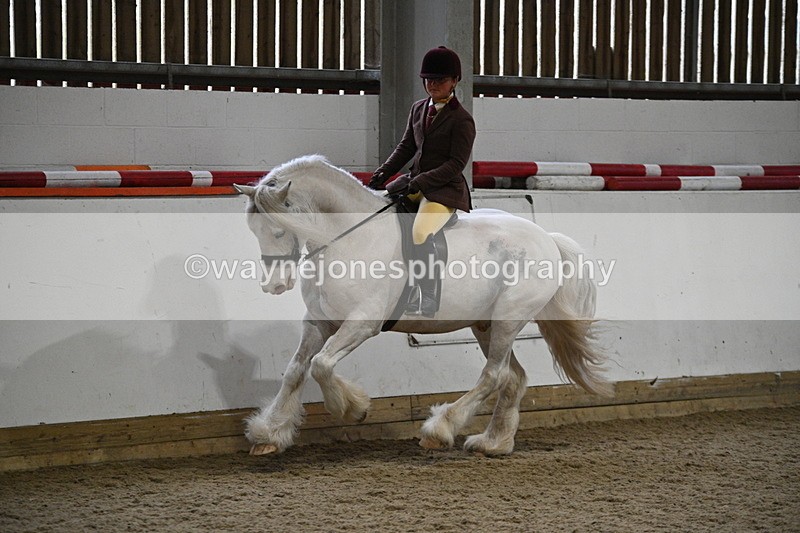 WJ7_4195 - Class 17 Ridden Cob