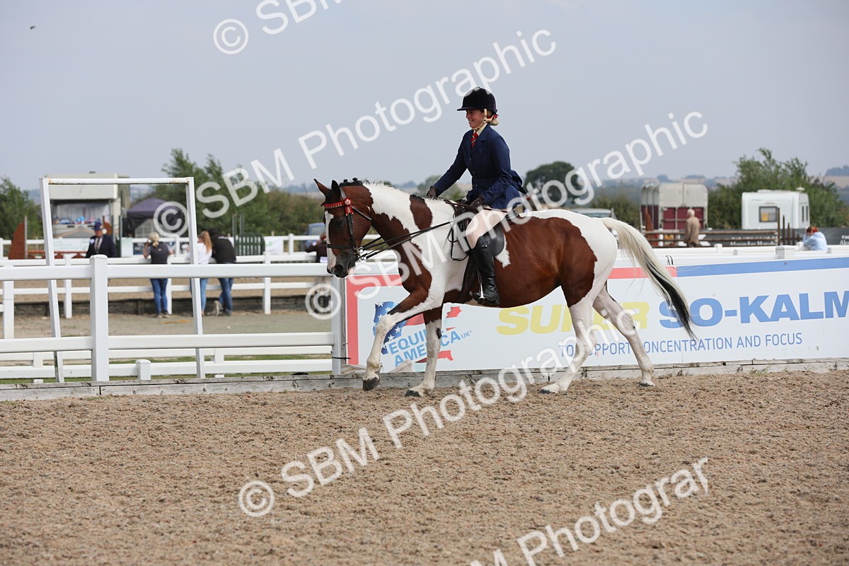 SBM_13363 - Class 308 Ridden Coloured Horse