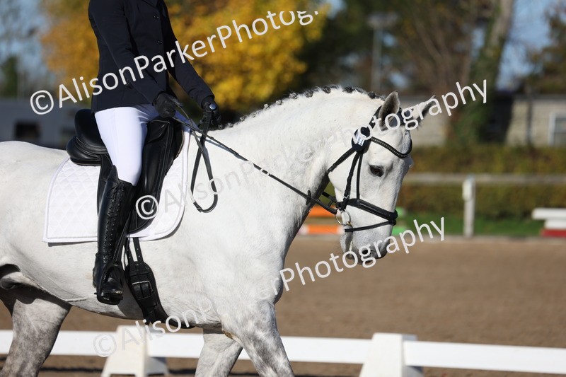 20251102-0439 - Class 3 - Novice 5