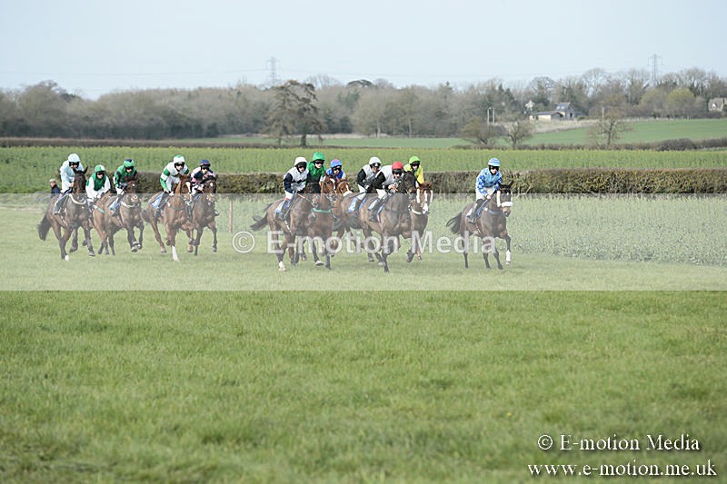 PtP 230319 402 - VWH Hunt Siddington Point-to-Point Racing 23/03/19