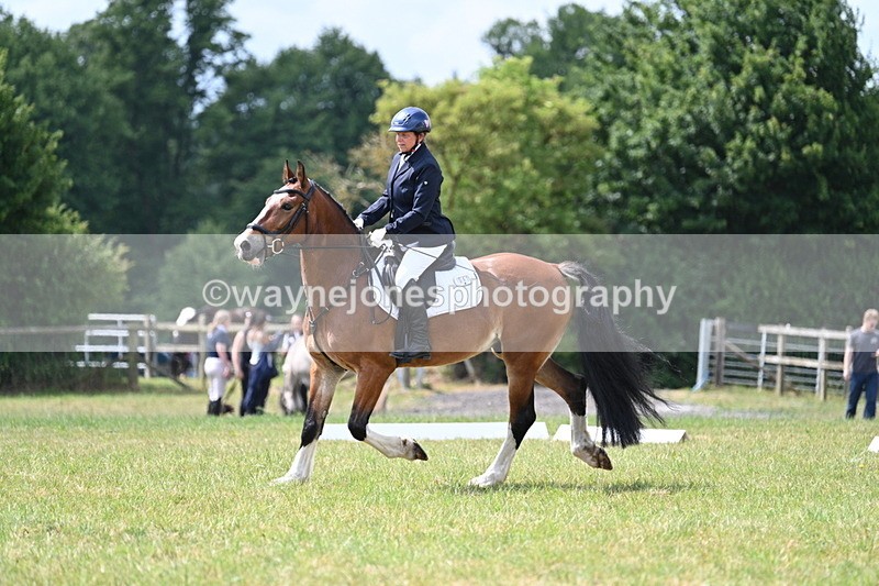 WJ7_4530 - Time 10:59 to 11:17