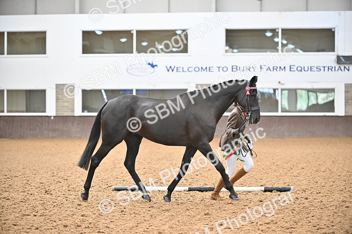 SBM_000261 - Class 7 - ROR Tattersalls In Hand