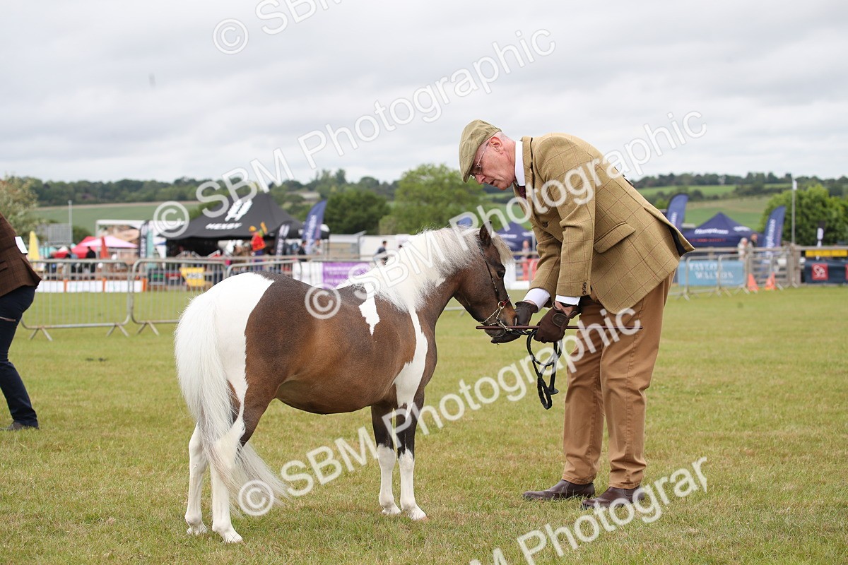 SBM_04008 - Class 23-25 - British Miniature Horse of the Year