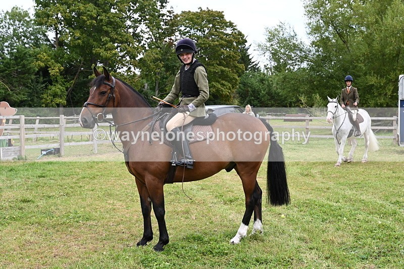 WJ6_2978 - Berks & Bucks - The Old farmhouse - Hound Exercise 20-08-25
