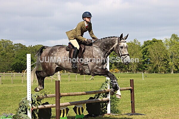 IMG_4861 - Working Hunter