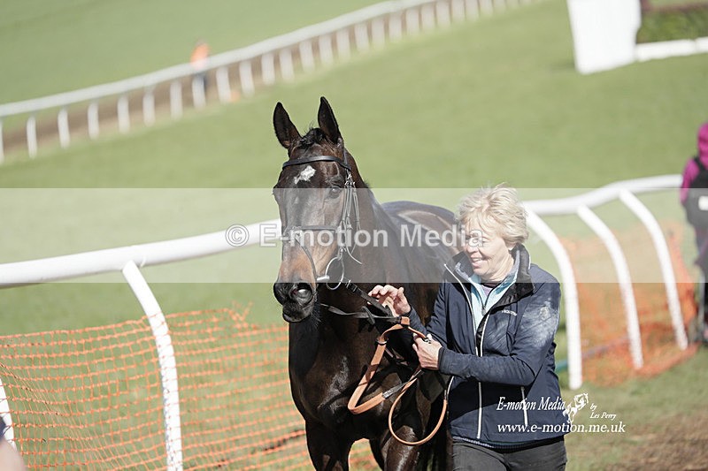 PtP 100423 934 - Old Berkshire Point-to-Point Lockinge 10/04/23