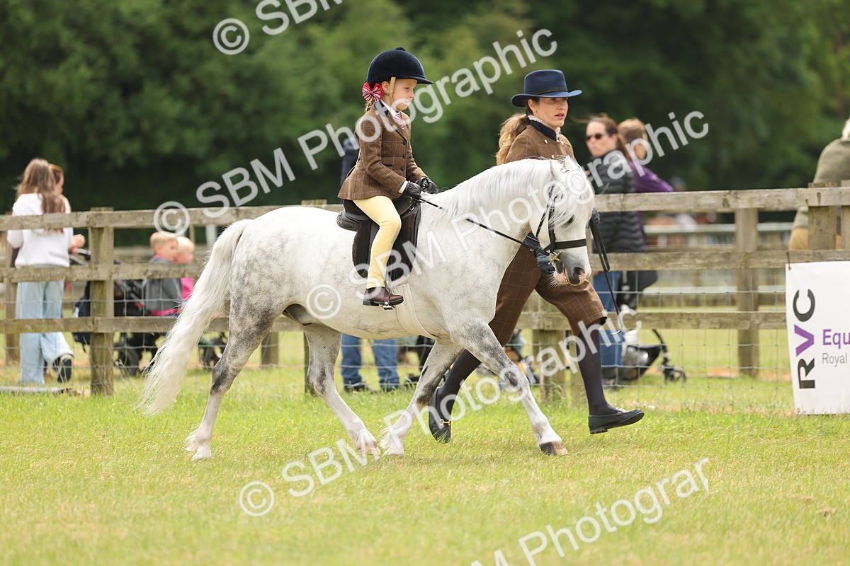 SBM_06696 - Class 74-75 - M&M Lead Rein and First Ridden Pony