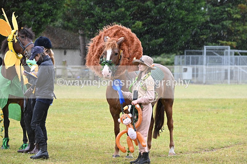 WJ6_9386 - Class 11 Fancy Dress