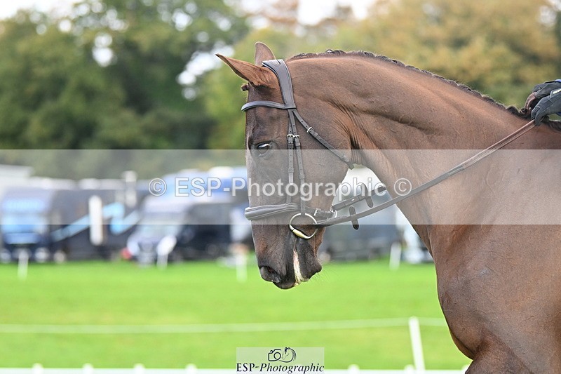 251023A-100747-02373 - G-503-Bethan.ODell