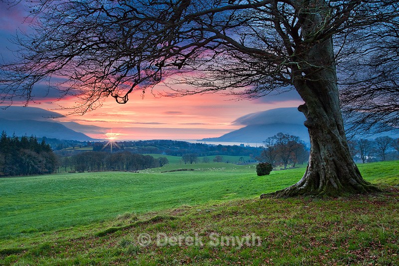 Carlingford Lough Sunrise