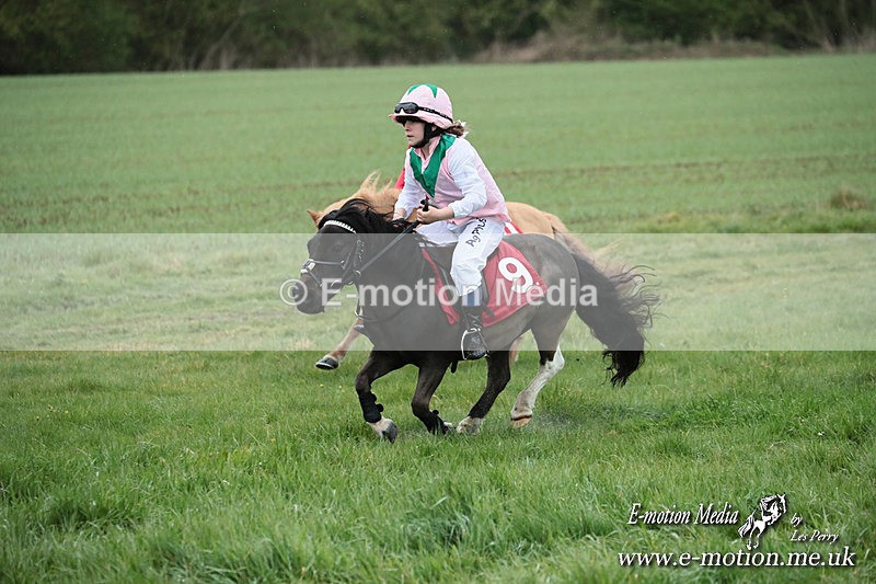SHETPR 210425 201 - Shetland Ponies Paxford Races 21/04/25