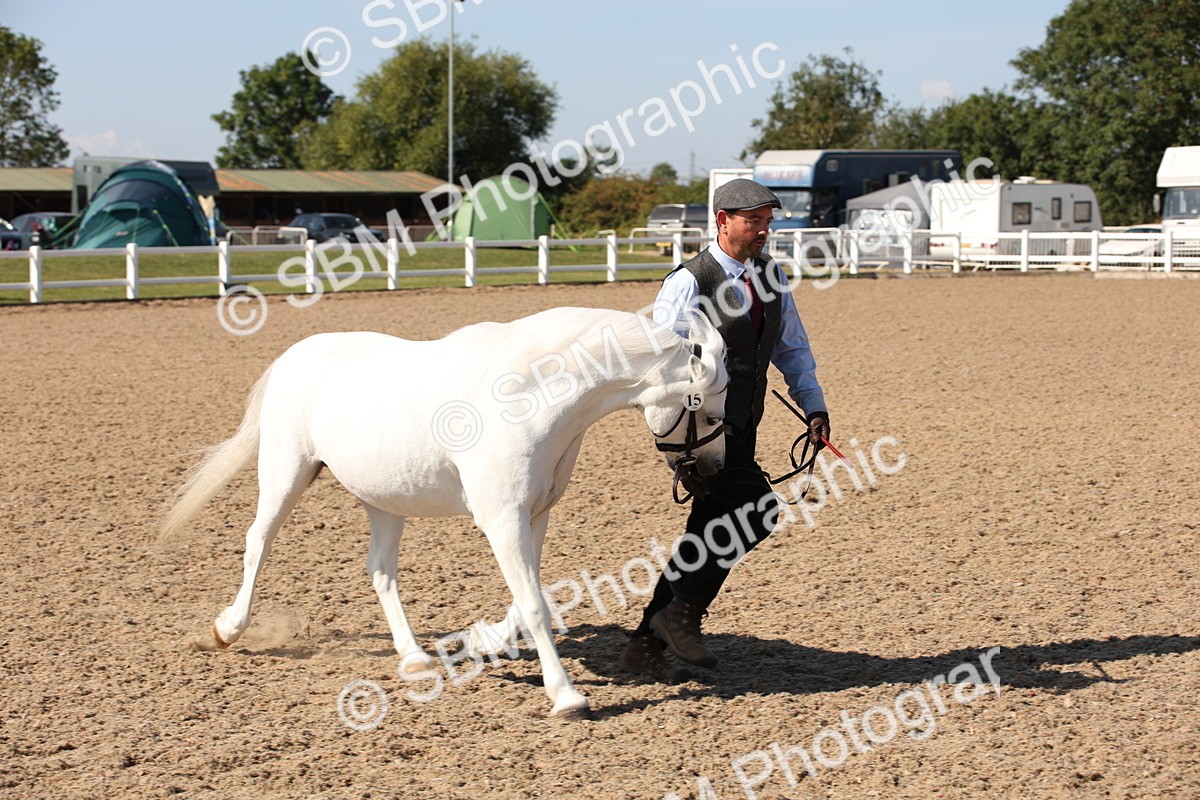 SBM_02748 - Class 16 IH M&M Wildcard