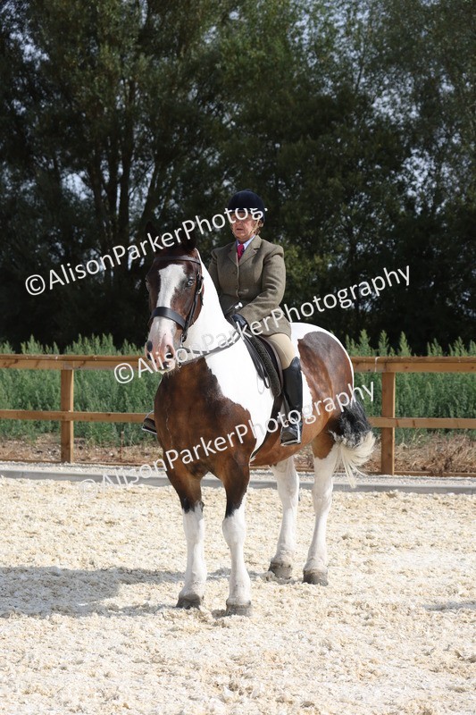 20260802-0485 - Class 6 - Veteran Ridden