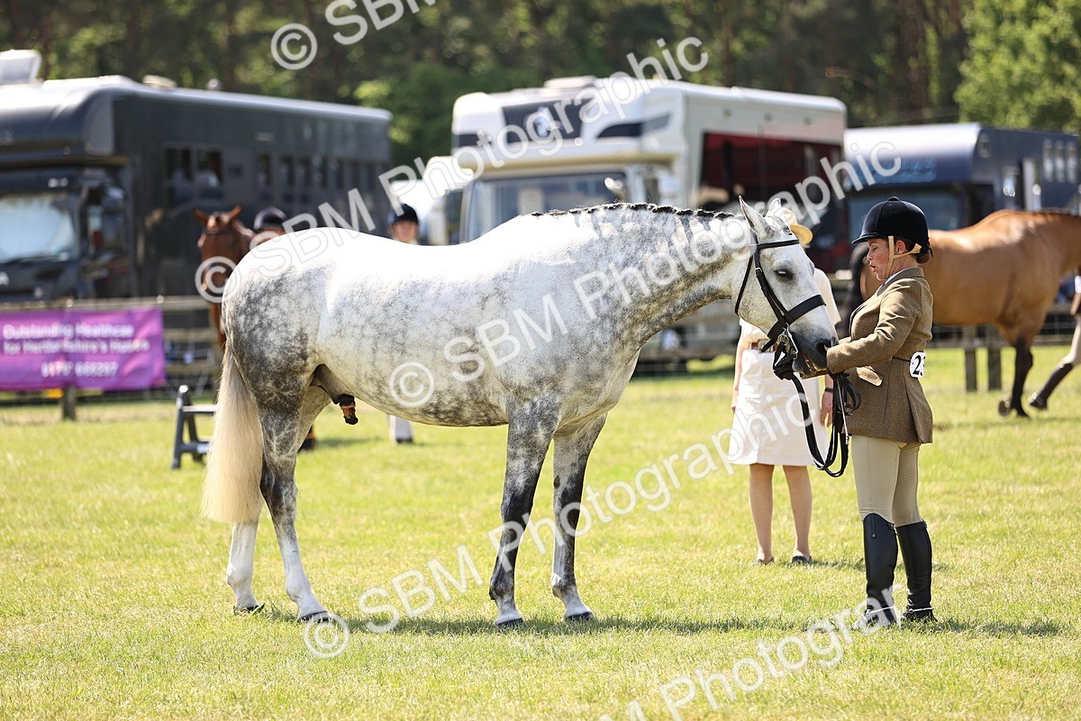 SBM_15203 - Class 79-80 - LIHS BSHA Rising Star Ridden Hunter