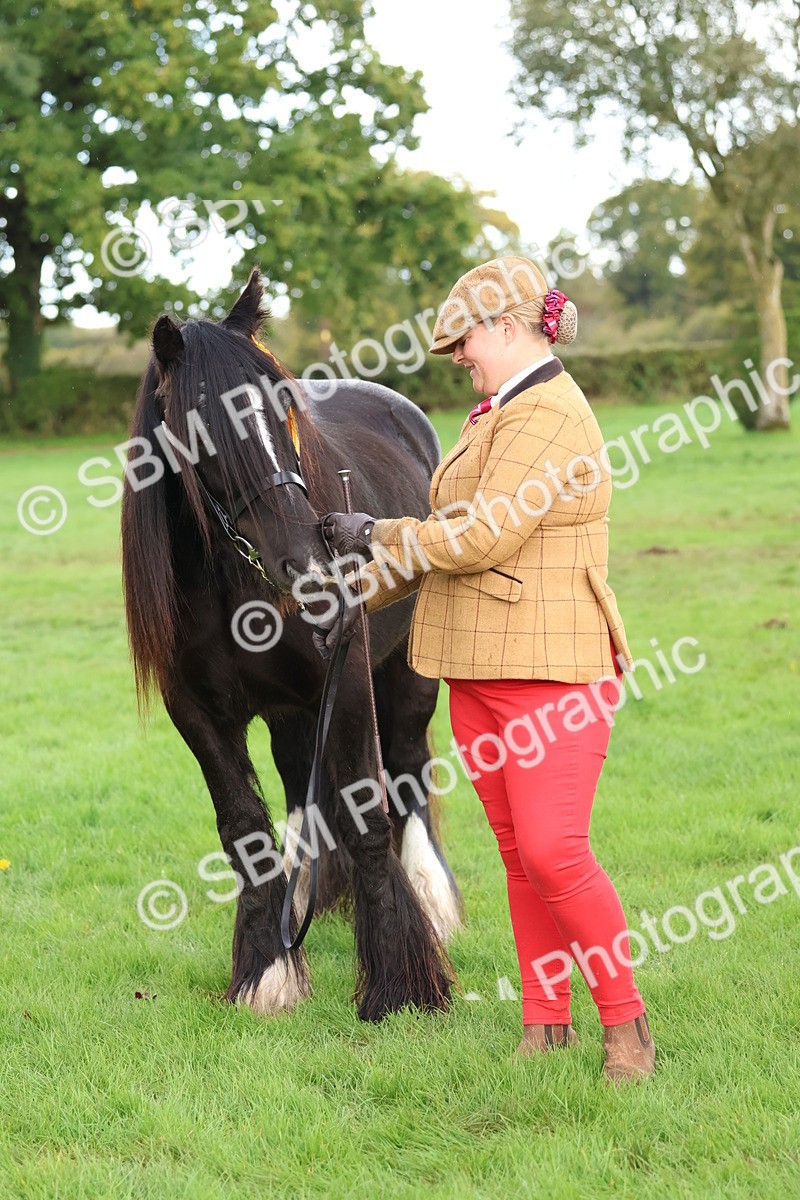 SBM_39378 - S24 - Young Veteran In Hand
