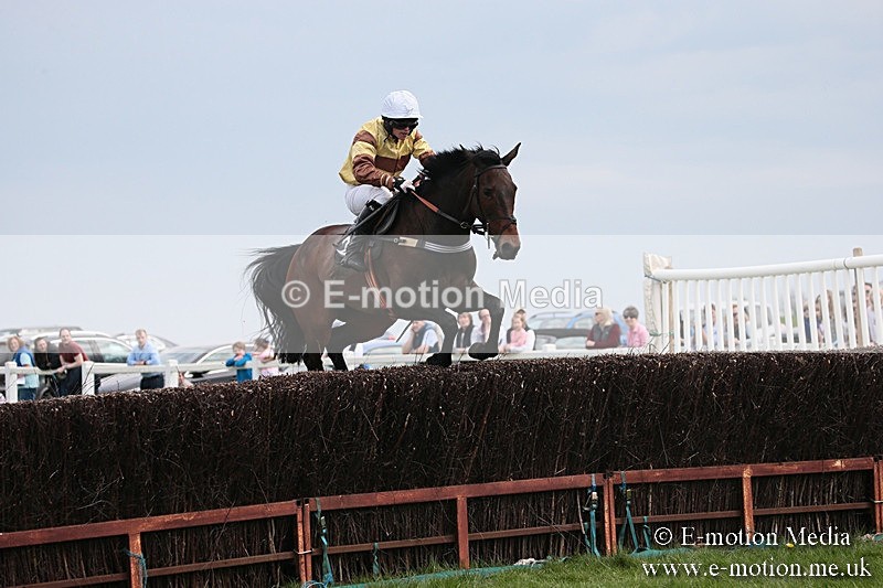 PtP 210418 224 - South & West Wilts Point-to-Point Larkhill 21/04/18