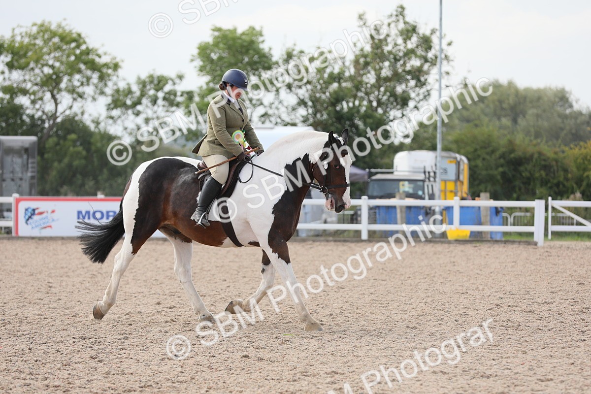 SBM_17070 - Class 314 Family Horse/Pony