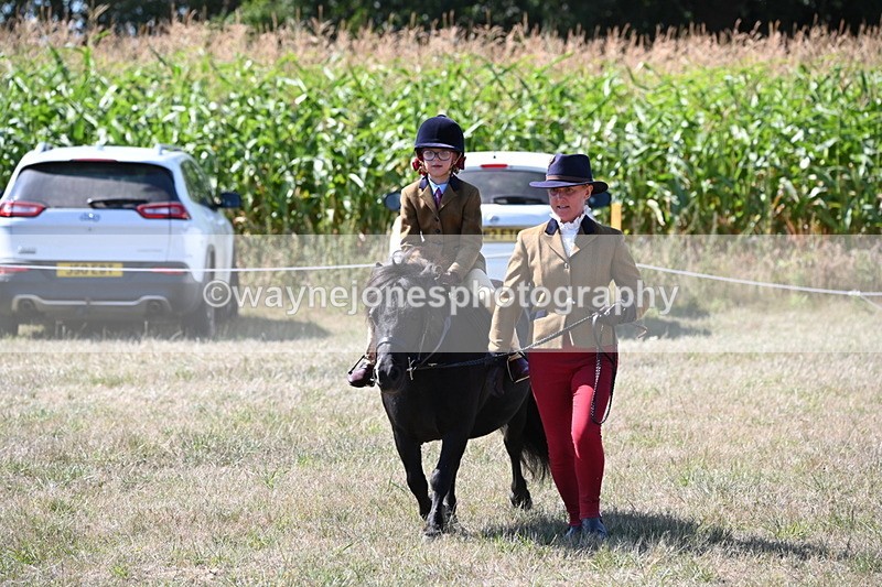 WJ6_8109 - Class 36 Lead Rein