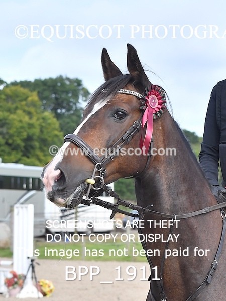 BPP_1911 - CLASS 10 SUN Club/ Unaffiliated 70cms Open