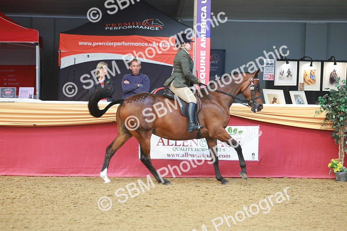 SBM_10534 - Class 103 - HOYS Veteran Qualifier - Ridden Pre Vet