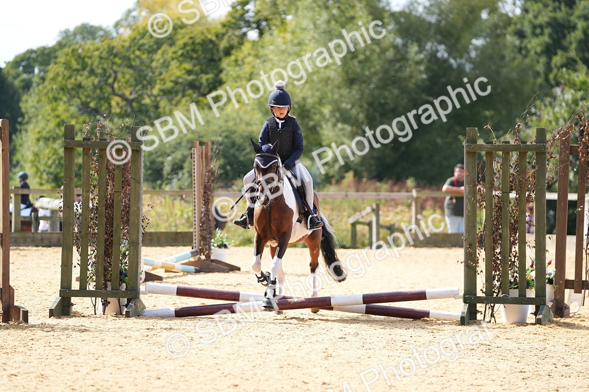 SBM_65731 - J2 - Mini Tour Junior Pony 30cm Championship