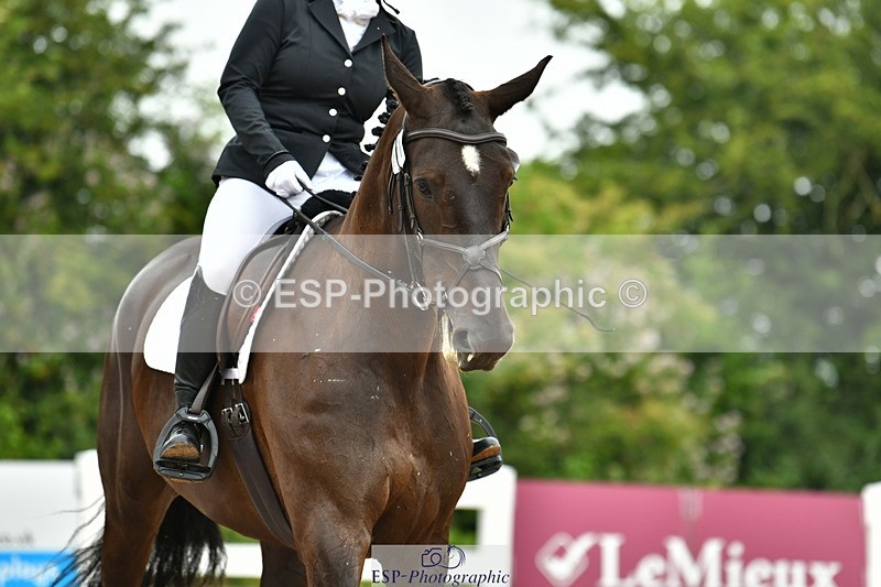 230708A-120633-02727 - Prelim 13