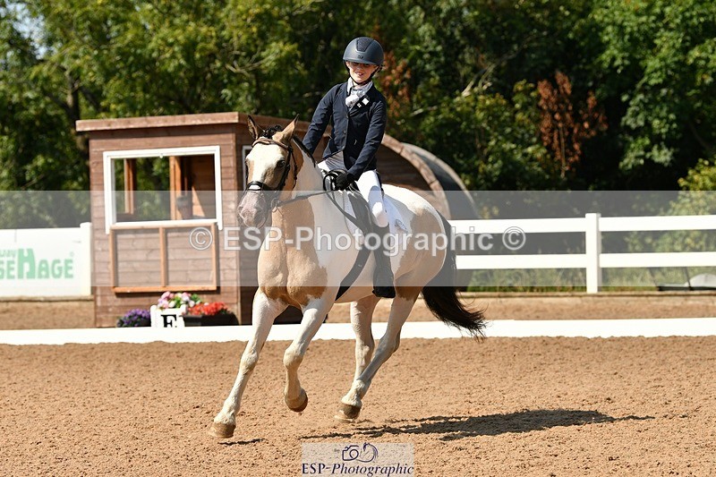 250817-144535-10265 - 172-Lilly.PapworthCammach.Wheres.Whally